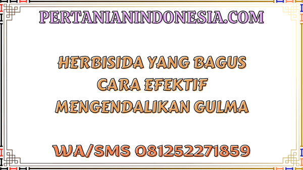 Herbisida Yang Bagus Cara Efektif Mengendalikan Gulma